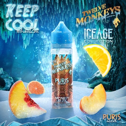 Twelve Monkeys - Ice Age - Puris Iced 50ml Liquid