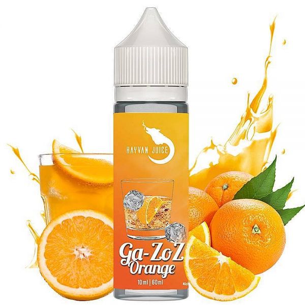 Hayvan Juice - Shake 'n Vape Aroma - Ga-Zoz Orange