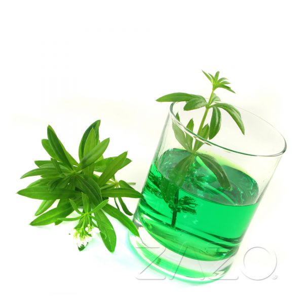 Waldmeister