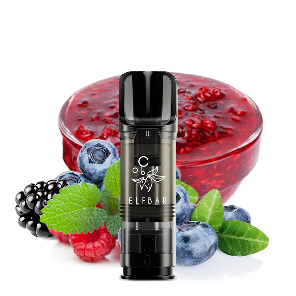 Elfbar-ELFA-Pod-Blueberry-Snow-20mg